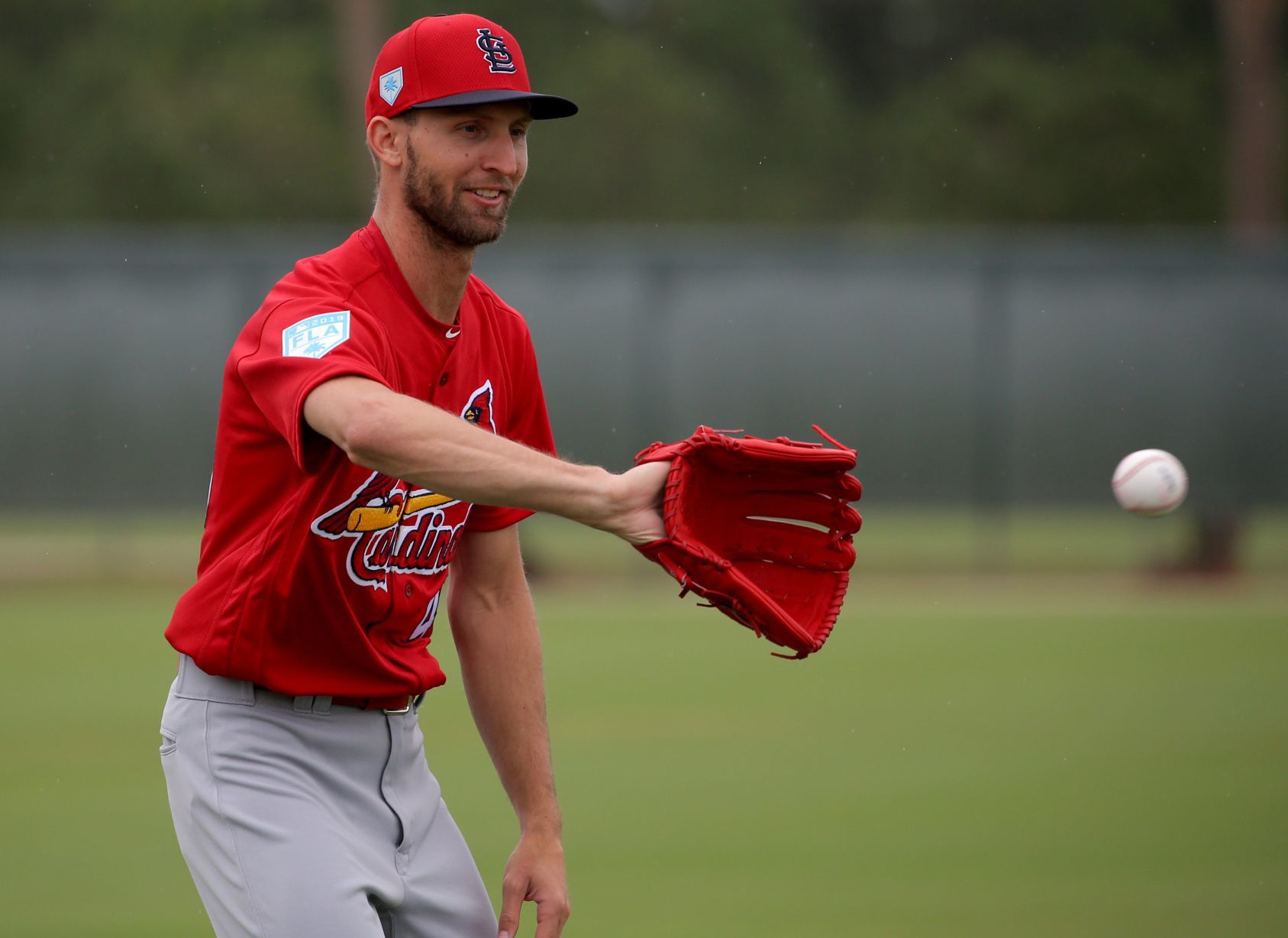 Cardinals spring training